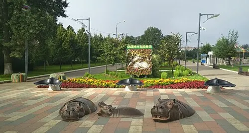 Город Одинцово